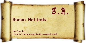 Benes Melinda névjegykártya
